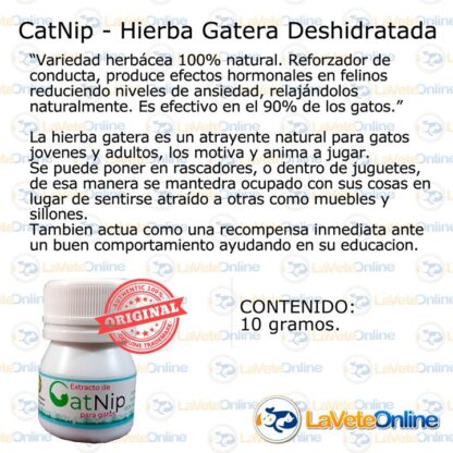 Catnip Deshidratado Frasco 10g. Hierba Gatera (BG008) - Imagen 2