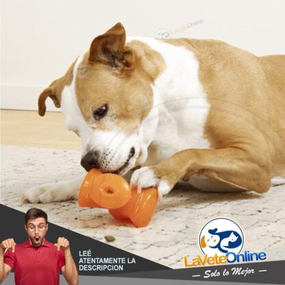 BIONIC Stuffer Juguete Rellenable Super Resistente para Perros - 12,5 cm (97811) - Imagen 3