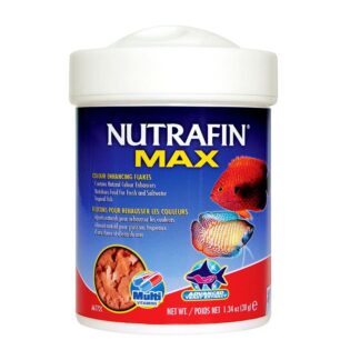 Alimento Peces Tropicales Potenciador Color - Nutrafin Max Colour Enhancing Flakes x 38g. (A6772)