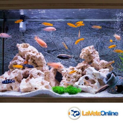 Nutrafin Max Tropical Fish Flakes x 38g. - Alimento Peces Tropicales en Escamas (A6702) - Imagen 6