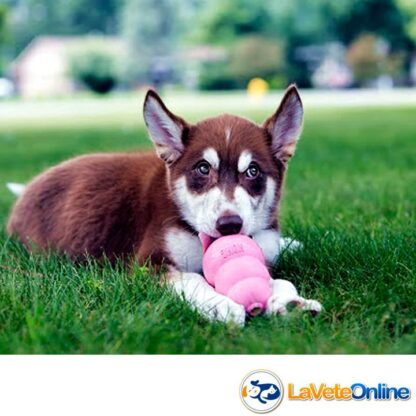Kong Puppy Large (13-30 kg) - Rosa (acd8548rosa) - Imagen 3
