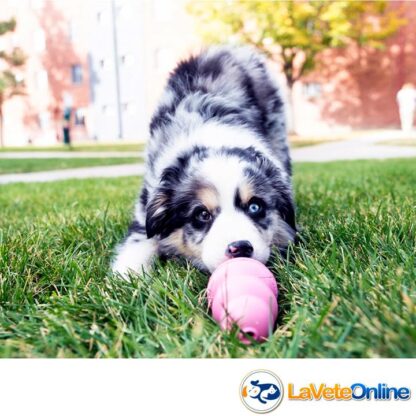 Kong Puppy Large (13-30 kg) - Rosa (acd8548rosa) - Imagen 4