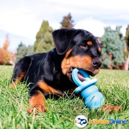 Kong Puppy Binkie Medium (7-16 kg) - Celeste (acd9029CE) - Imagen 4