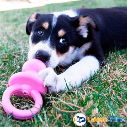 Kong Puppy Binkie Medium (7-16 kg) - Rosa (acd9029rosa) - Imagen 4