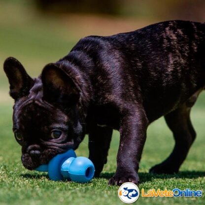 Kong Puppy Binkie Small (hasta 9 kg) - Celeste (acd9032CE) - Imagen 3