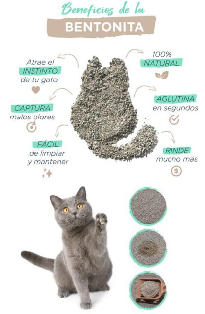 StoneCat Limon 4 kg Bentonita Aglomerante (STONECATLI04) - Imagen 2