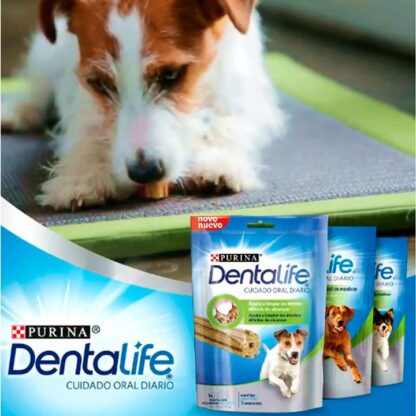 DentaLife Salud Oral Medianos 7 u. 119g (PP12343167) - Imagen 2