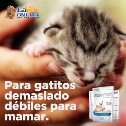 Europet Sustituto Lacteo Premium para Gatitos Pack x 10 - Leche Gatitos (m10mEUDPG) - View 360 - Imagen 4