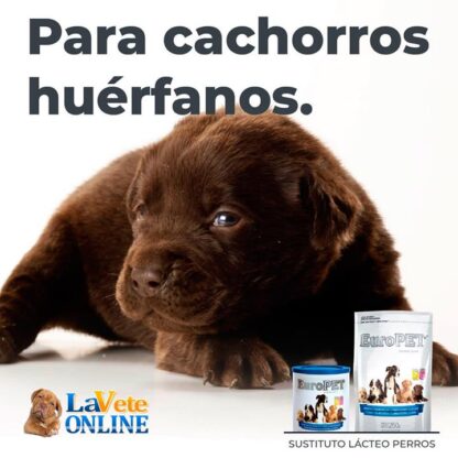 Europet Sustituto Lacteo Premium para Cachorros x 250 g - Leche Cachorros (EUDPP) - View 360 - Imagen 4