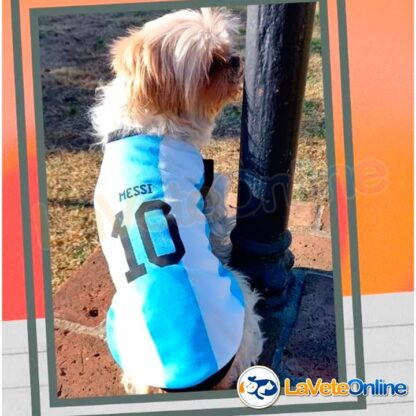 Camiseta de Argentina Talle 0 (LUARG-0) - Imagen 4