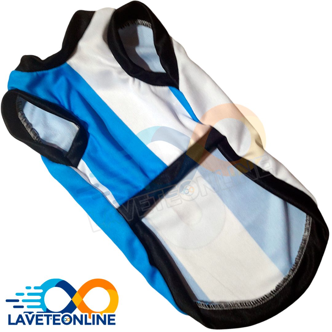 Camiseta de Argentina Talle 4 (LUARG-4) - Imagen 3
