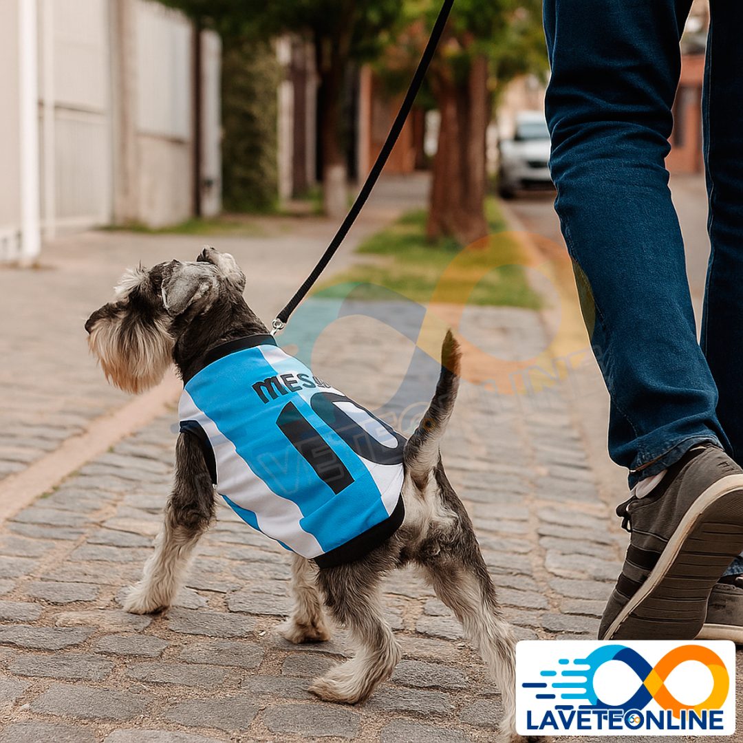 Camiseta de Argentina Talle 4 (LUARG-4)