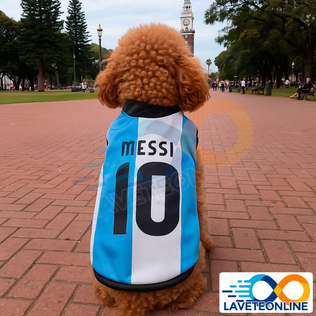Camiseta de Argentina Talle 4 (LUARG-4) - Imagen 6