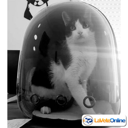 Mochila Transportadora para Gatos (CEGCMTIMCNG) - Imagen 3