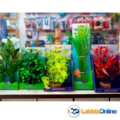 Deco Planta Green Parrot / Vallisneria Mix (PP1632) - Imagen 4