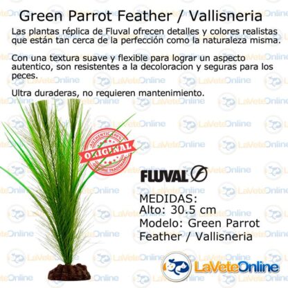 Deco Planta Green Parrot / Vallisneria Mix (PP1632) - Imagen 3