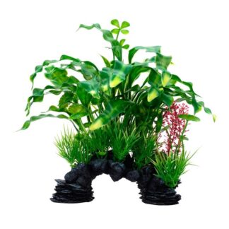 Deco + Planta Aponogeton Rizado Mix 25.5cm (PP1701) - VIEW 360
