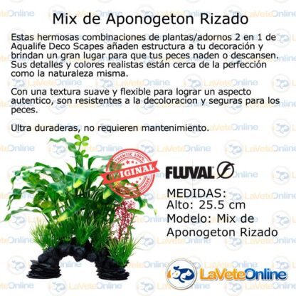 Deco + Planta Aponogeton Rizado Mix 25.5cm (PP1701) - VIEW 360 - Imagen 3