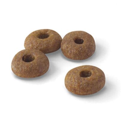 Royal Canin FIT Regular 32 400g (RCFIT321) - Imagen 2