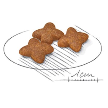 Royal Canin Mini Adulto 3 Kg (RCMINIAD3) - Imagen 2