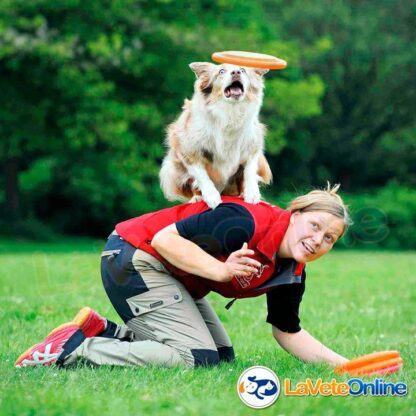 Frisbee / Flyer / Disc Dog Activity 23 cm - Azul (T33562AZ) - Imagen 6