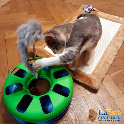 Circulo Caza Pelota con Raton Oscilante (t4135) - Imagen 3
