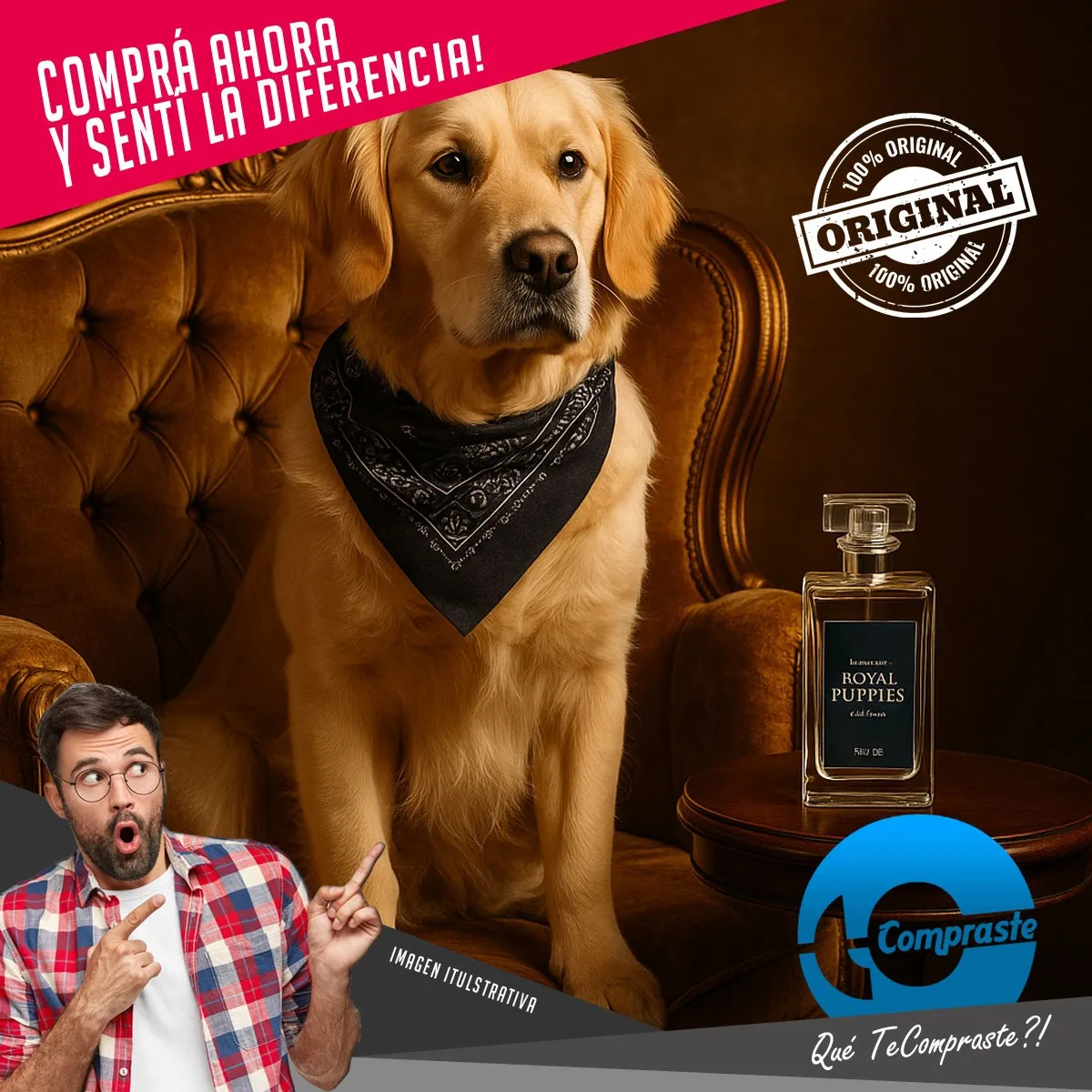 Perfume Fragancia Mascotas Perro 50ml Royal Puppies Milano Milano - Simil La Nuit de L’Homme (YSL) y CH Men Privé (Carolina Herrera) - Imagen 10