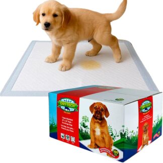 Paños Sanitarios Perro Caja 50u Penn Plax Absorventes Educativos Importados Dry Tech (ACD11157)