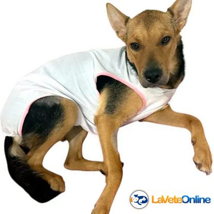 Bata Post Quirurgica para Hembras Perra Gata Lavable Faja Camisa Cirugia - Imagen 5