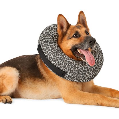 Colla Isabelino Tipo Dona Perro Gato Relleno Copos - Imagen 8