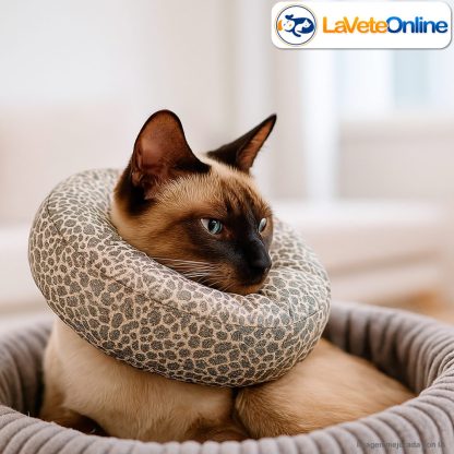 Colla Isabelino Tipo Dona Perro Gato Relleno Copos - Imagen 3