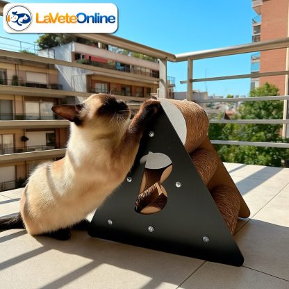 Rascador Gato Piramide Plus Carton Premium Incluye Catnip (BG042) - Imagen 6