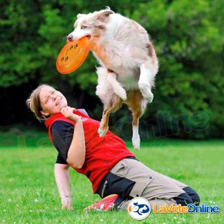 Frisbee Flyer Perro Profesional Disc Dog Activity Trixie 19cm