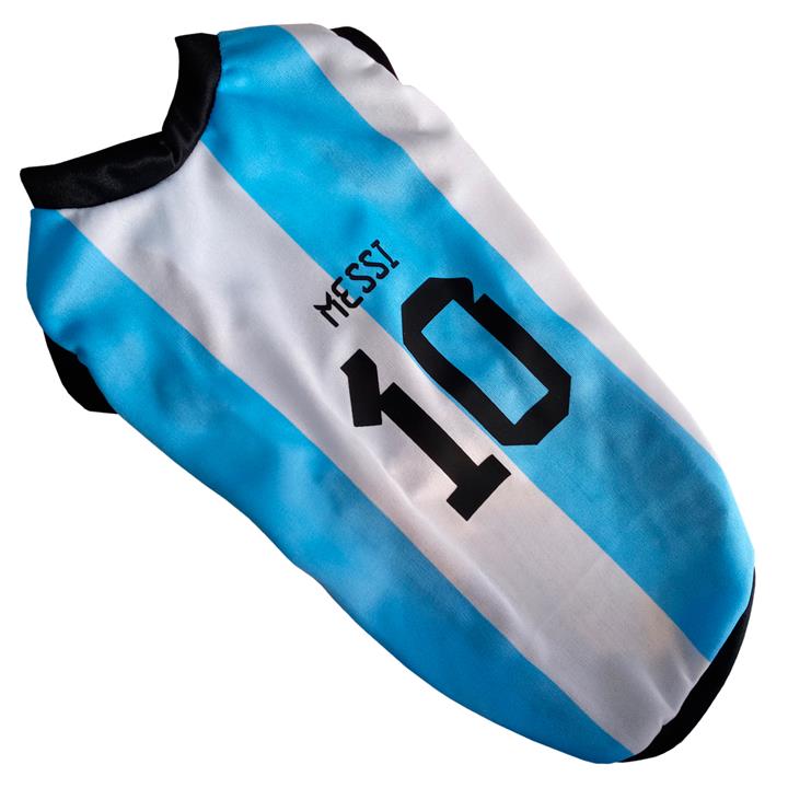 Camiseta de Argentina Talle 2 (LUARG-2)